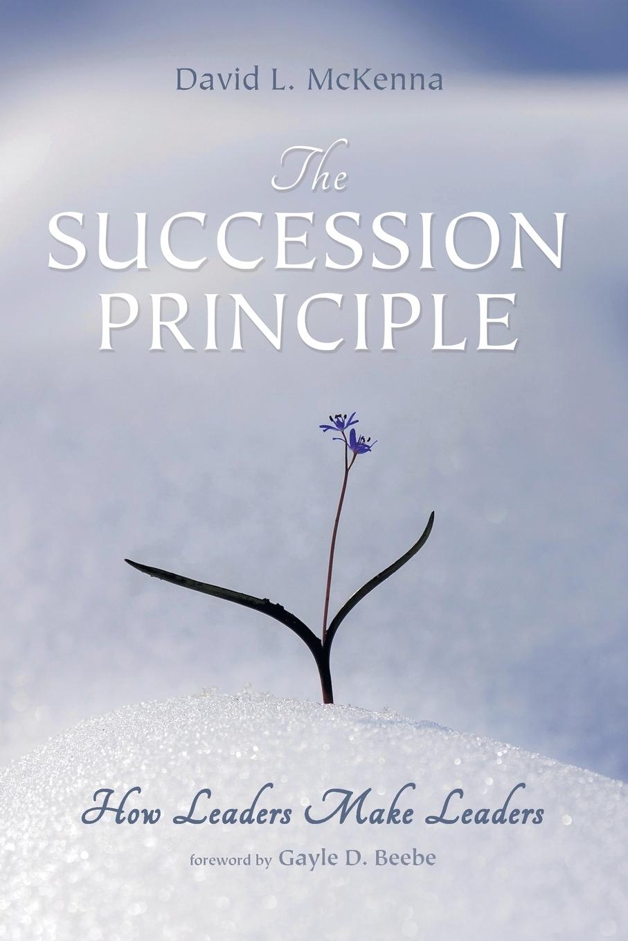 Vorderes Coverbild The Succession Principle