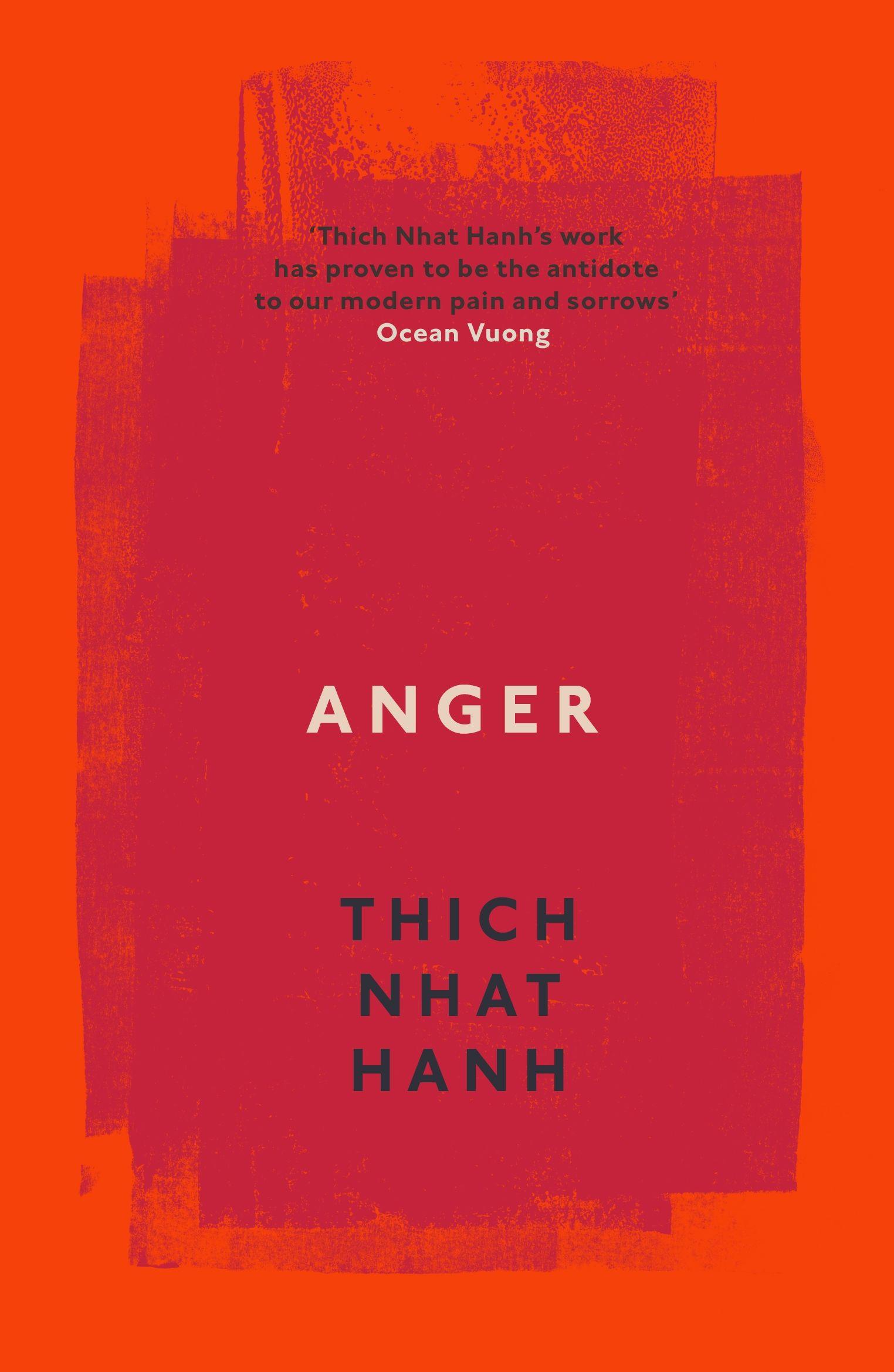 Vorderes Coverbild Anger