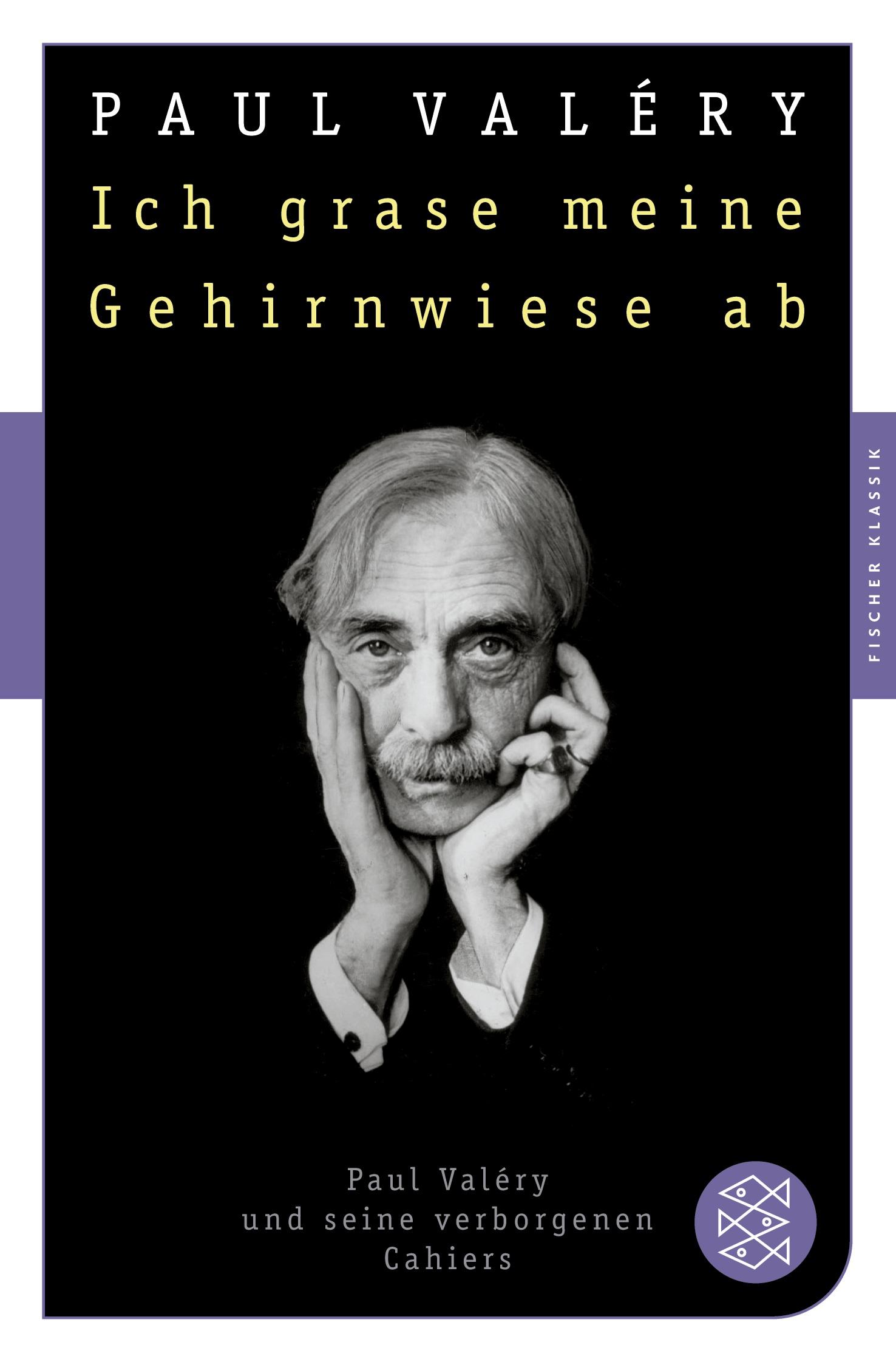 Vorderes Coverbild Ich grase meine Gehirnwiese ab