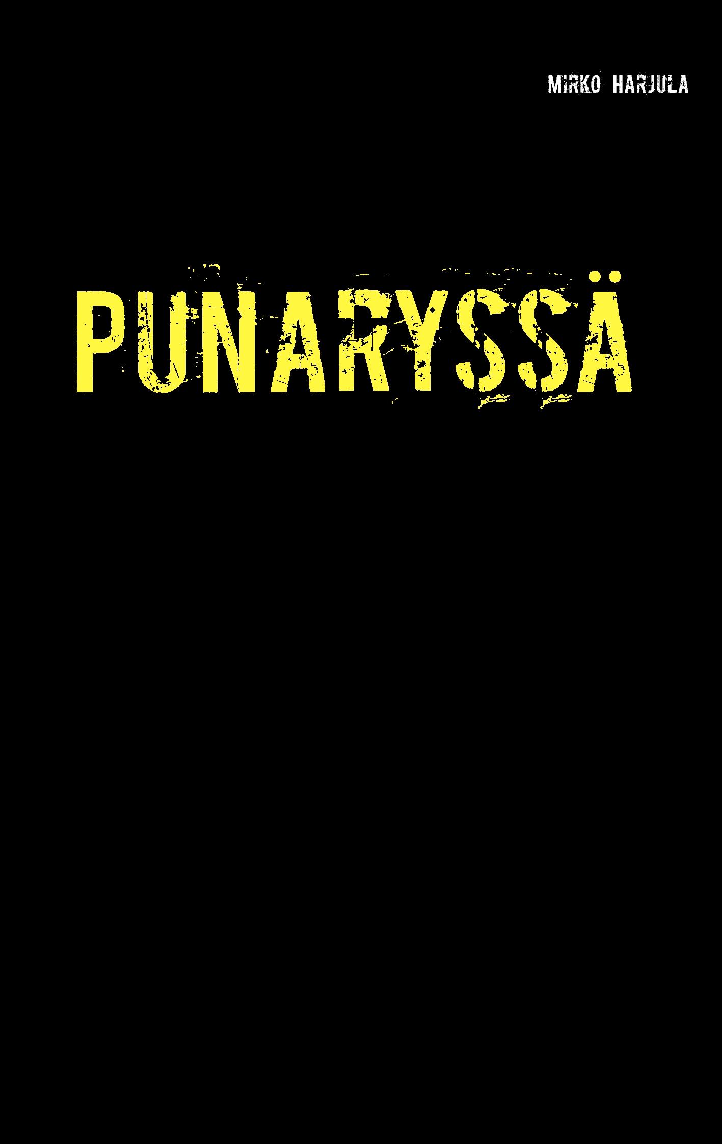 Vorderes Coverbild Punaryssä