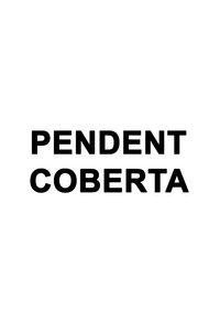 Vorderes Coverbild També això passarà