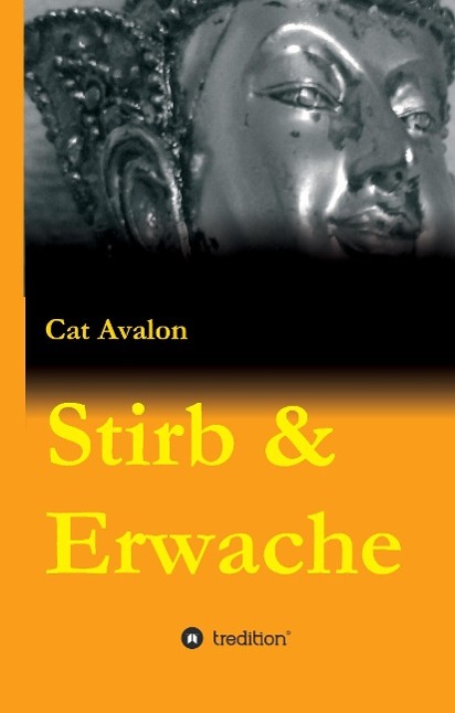Vorderes Coverbild Stirb & Erwache