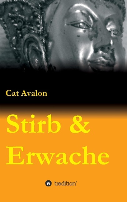 Vorderes Coverbild Stirb & Erwache