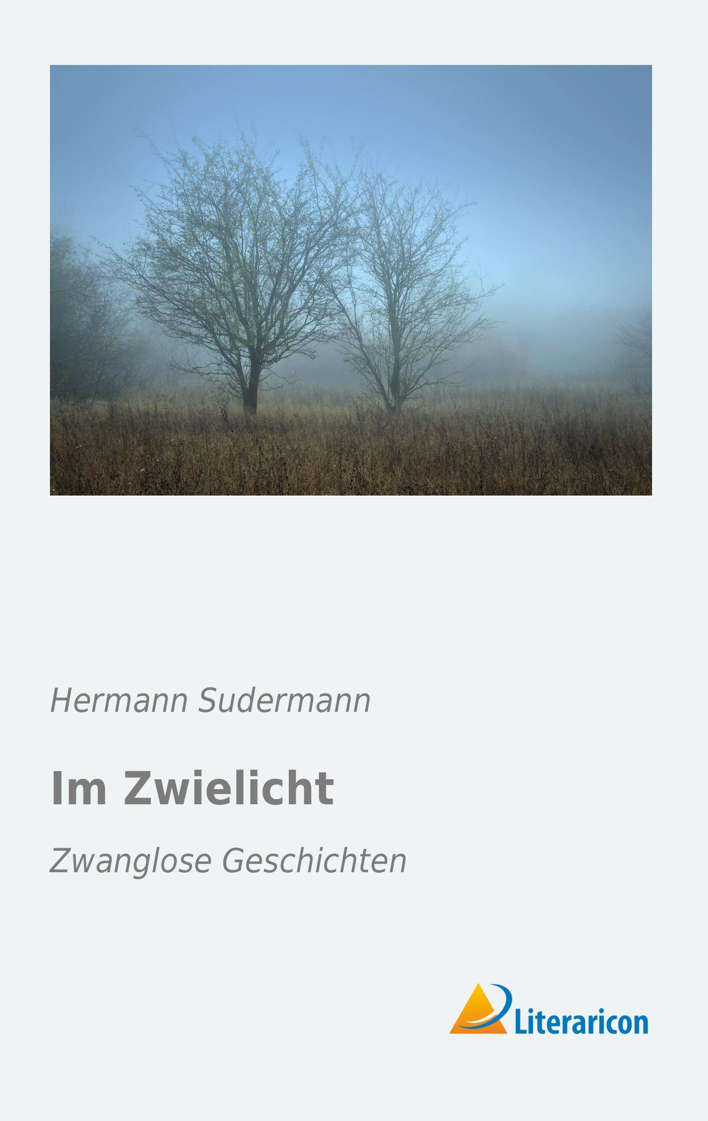 Vorderes Coverbild Im Zwielicht
