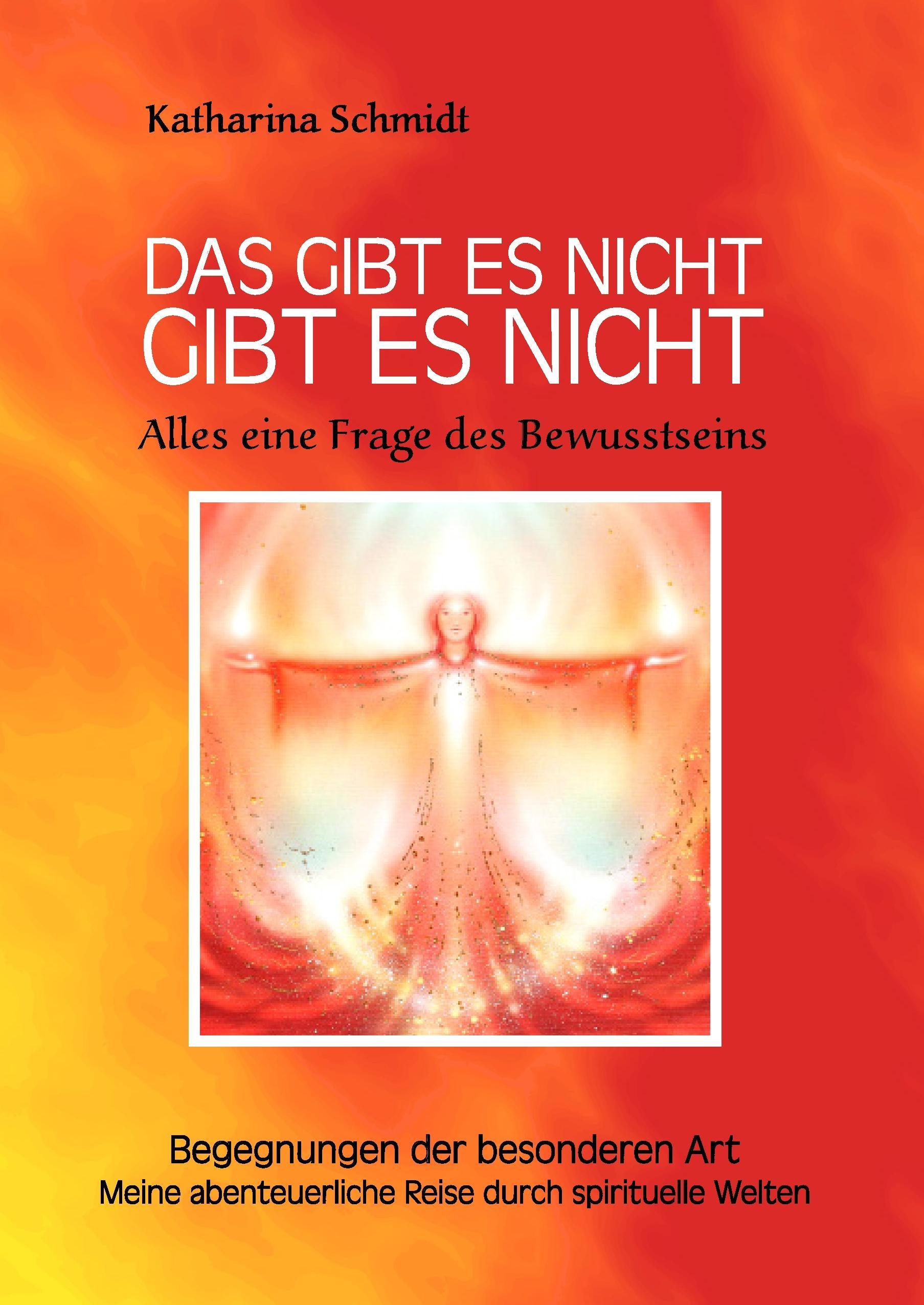 Vorderes Coverbild Das gibt es nicht gibt es nicht - Alles eine Frage des Bewusstseins