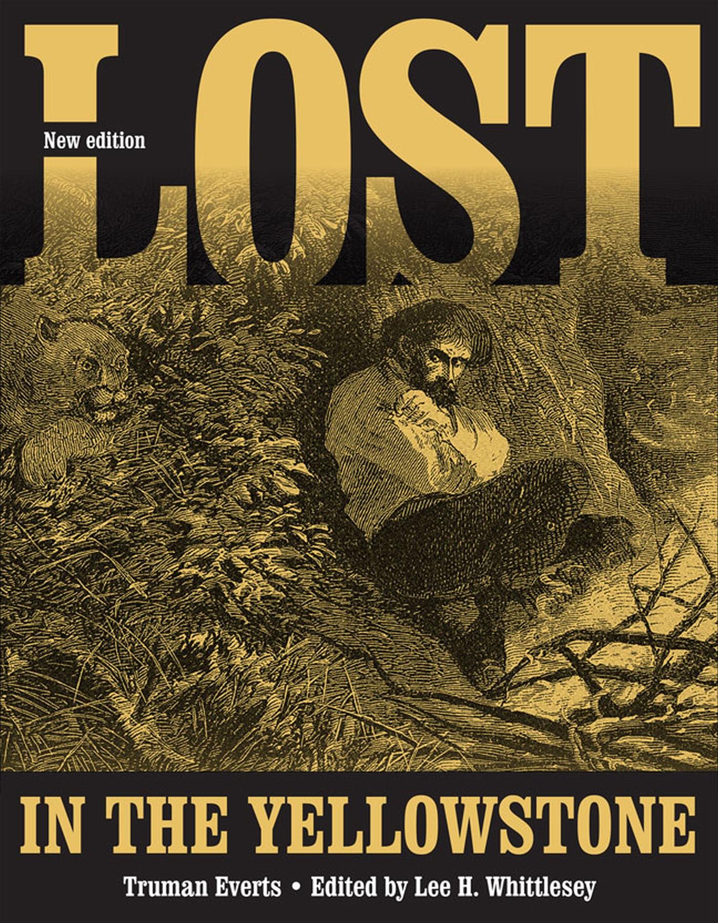 Vorderes Coverbild Lost in the Yellowstone
