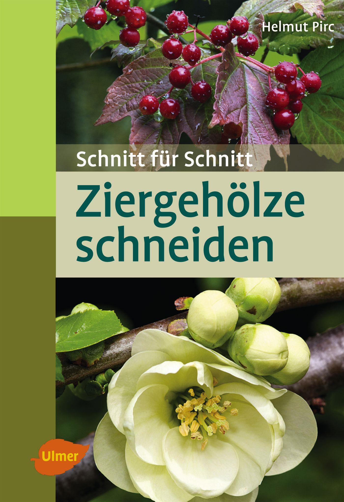 Vorderes Coverbild Ziergehölze schneiden