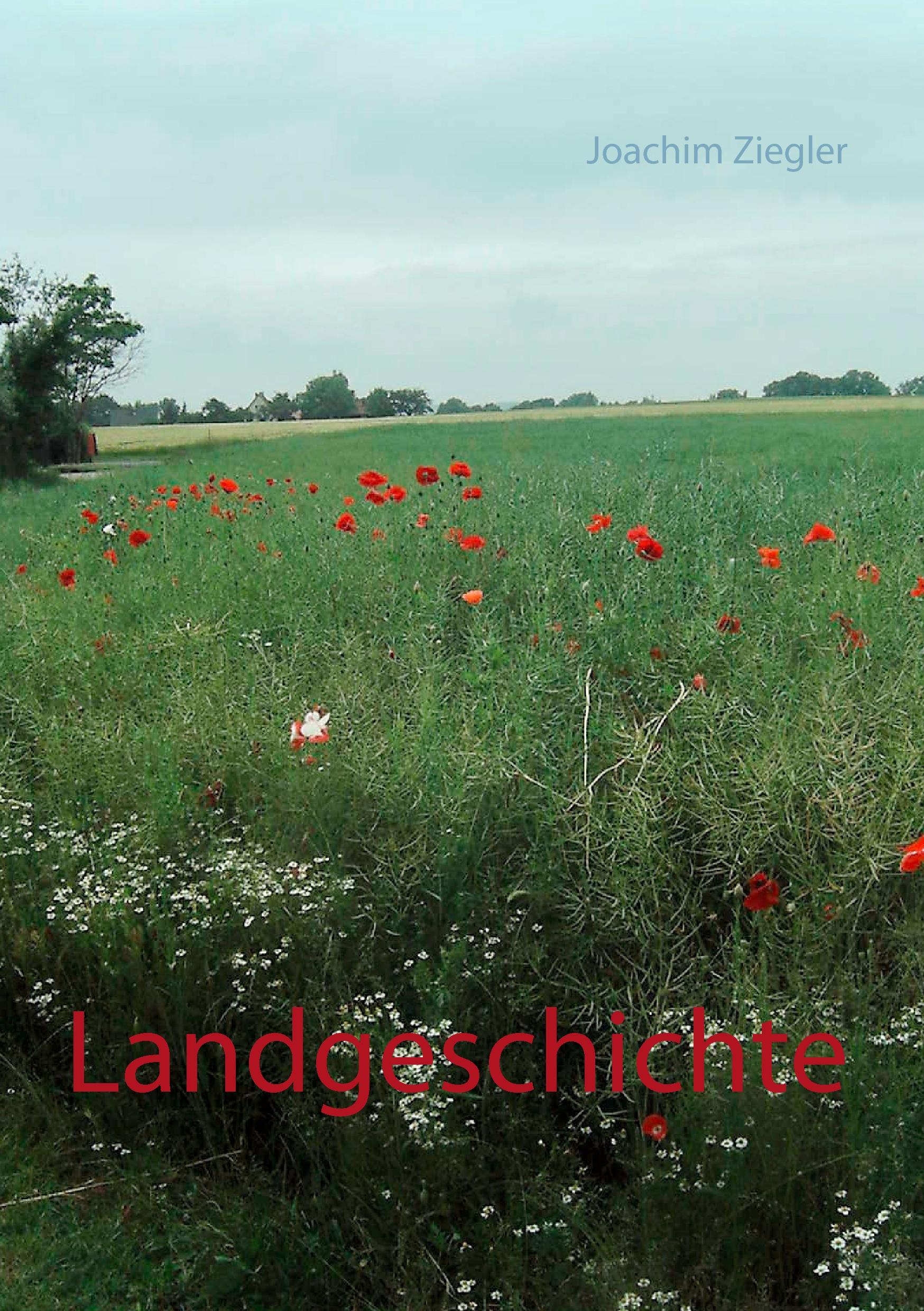 Vorderes Coverbild Landgeschichte