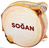 Vorderes Coverbild Sogan