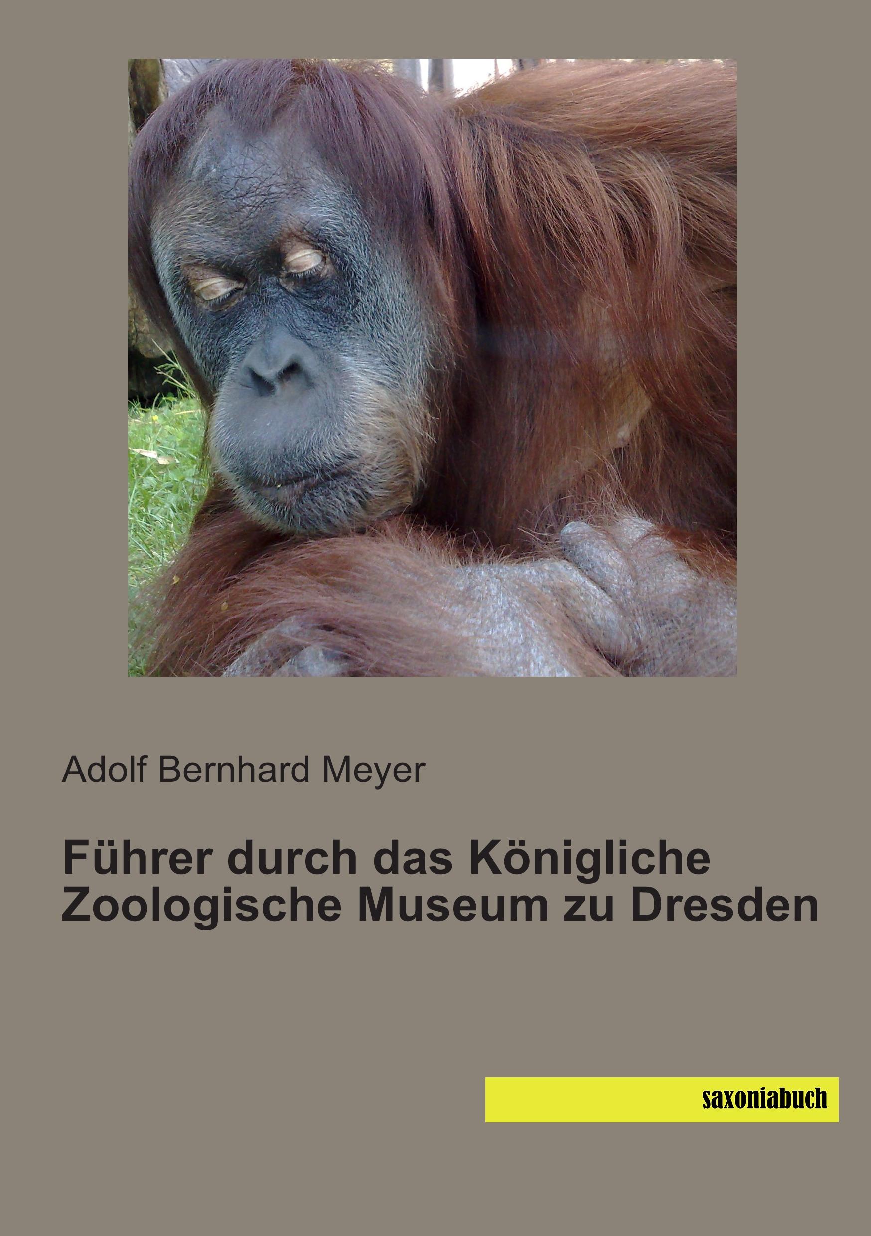 Vorderes Coverbild Führer durch das Königliche Zoologische Museum zu Dresden