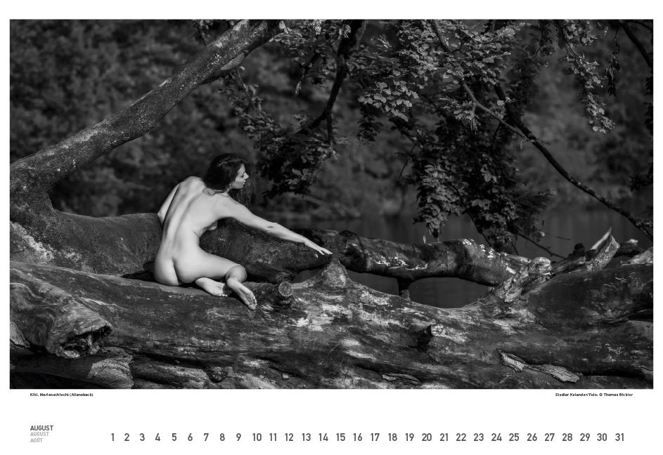 Beispielinhalt (Bild) BodenseeAKT. Ein immerwährender Kalender