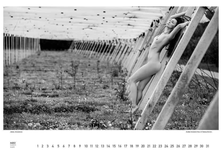 Beispielinhalt (Bild) BodenseeAKT. Ein immerwährender Kalender