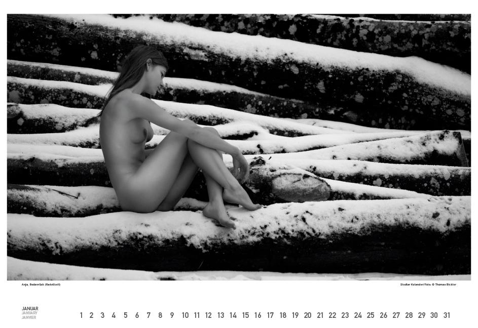 Beispielinhalt (Bild) BodenseeAKT. Ein immerwährender Kalender