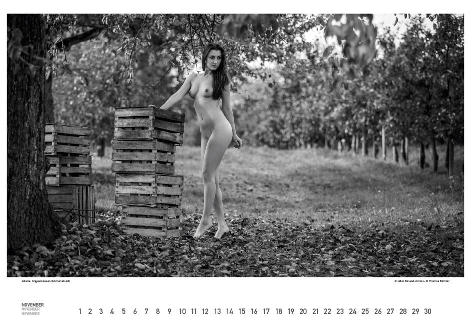 Beispielinhalt (Bild) BodenseeAKT. Ein immerwährender Kalender