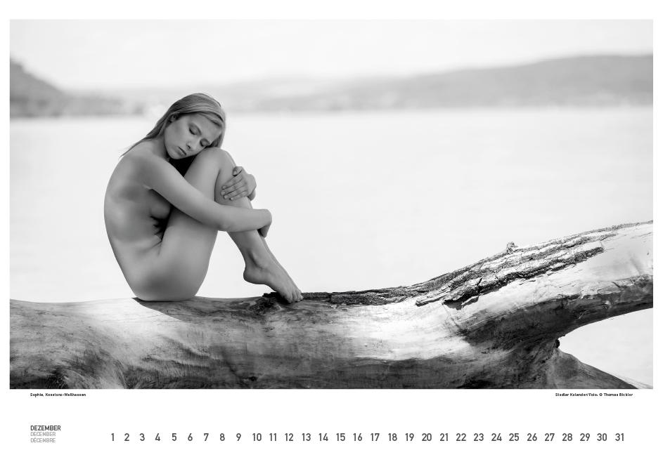 Beispielinhalt (Bild) BodenseeAKT. Ein immerwährender Kalender