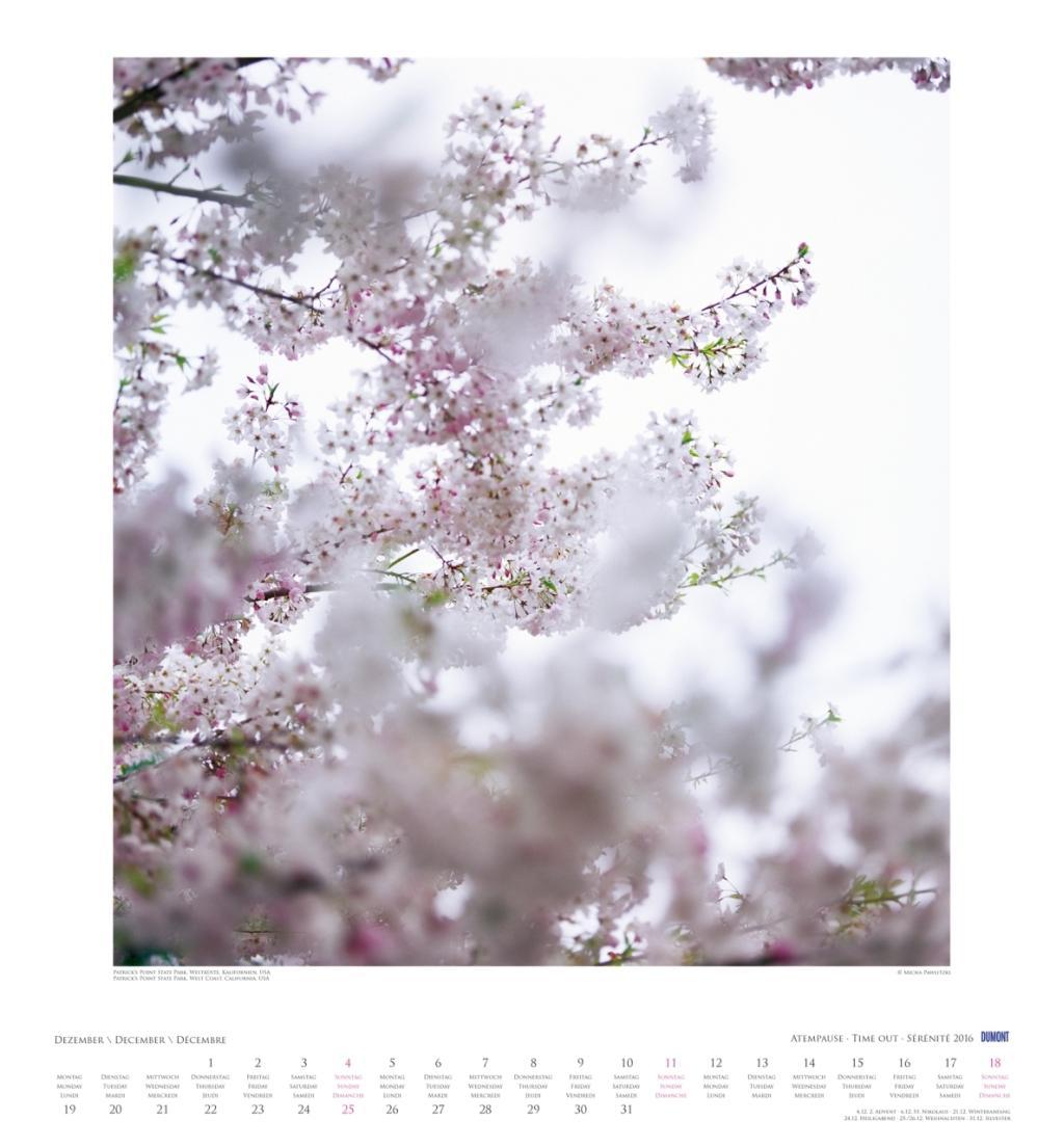 Beispielinhalt (Bild) Atempause 2016