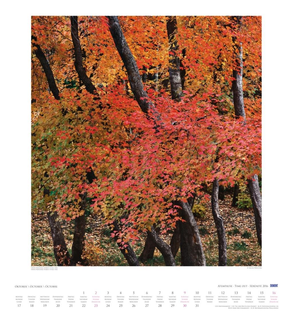 Beispielinhalt (Bild) Atempause 2016