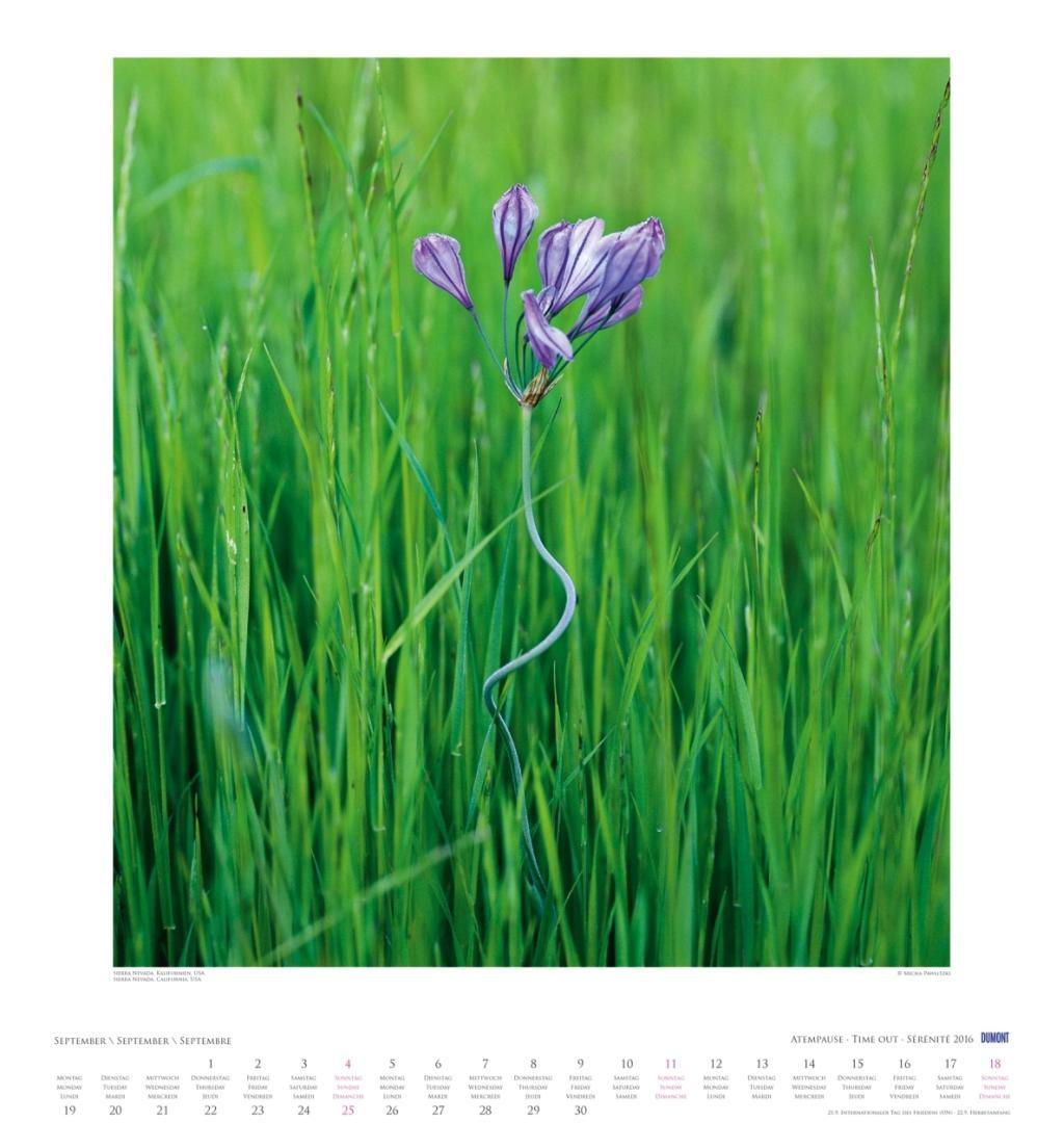 Beispielinhalt (Bild) Atempause 2016