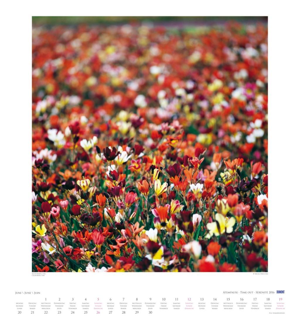 Beispielinhalt (Bild) Atempause 2016