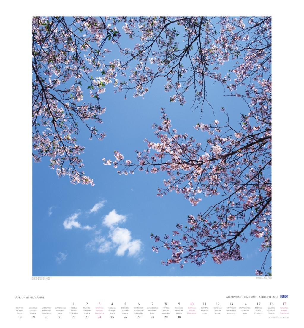 Beispielinhalt (Bild) Atempause 2016