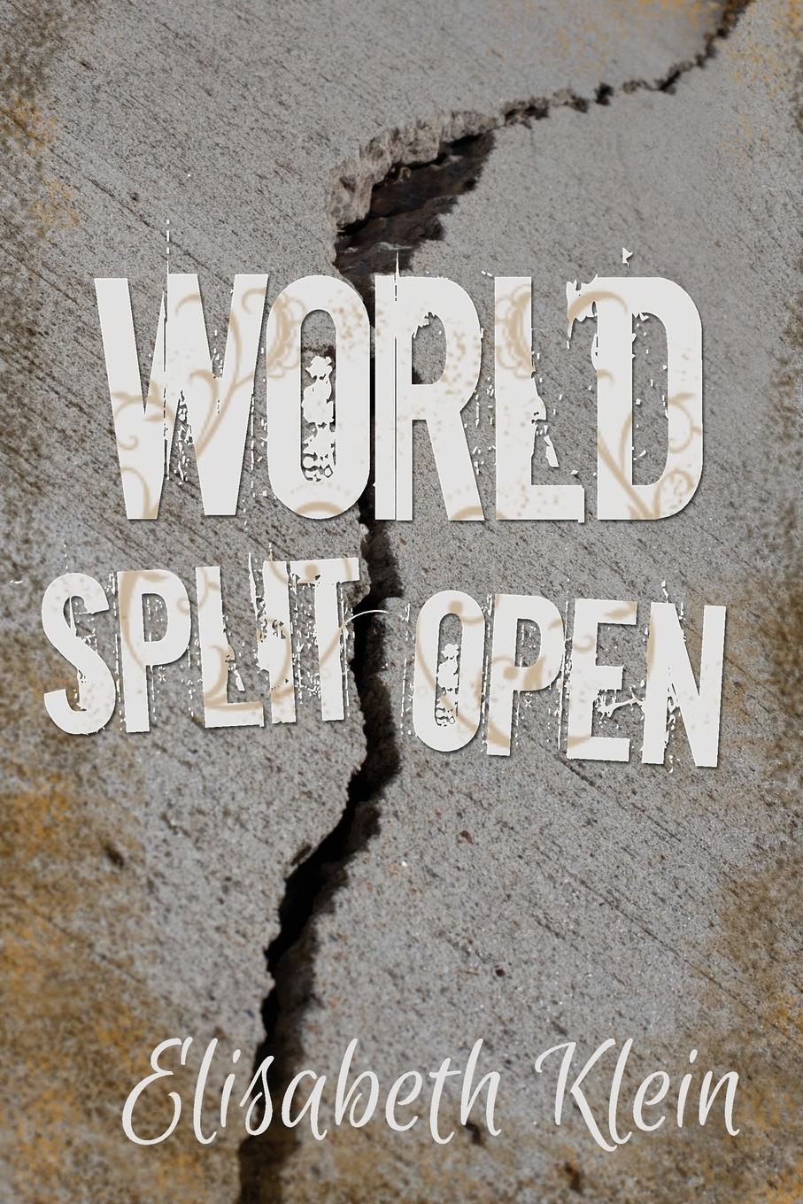 Vorderes Coverbild World Split Open