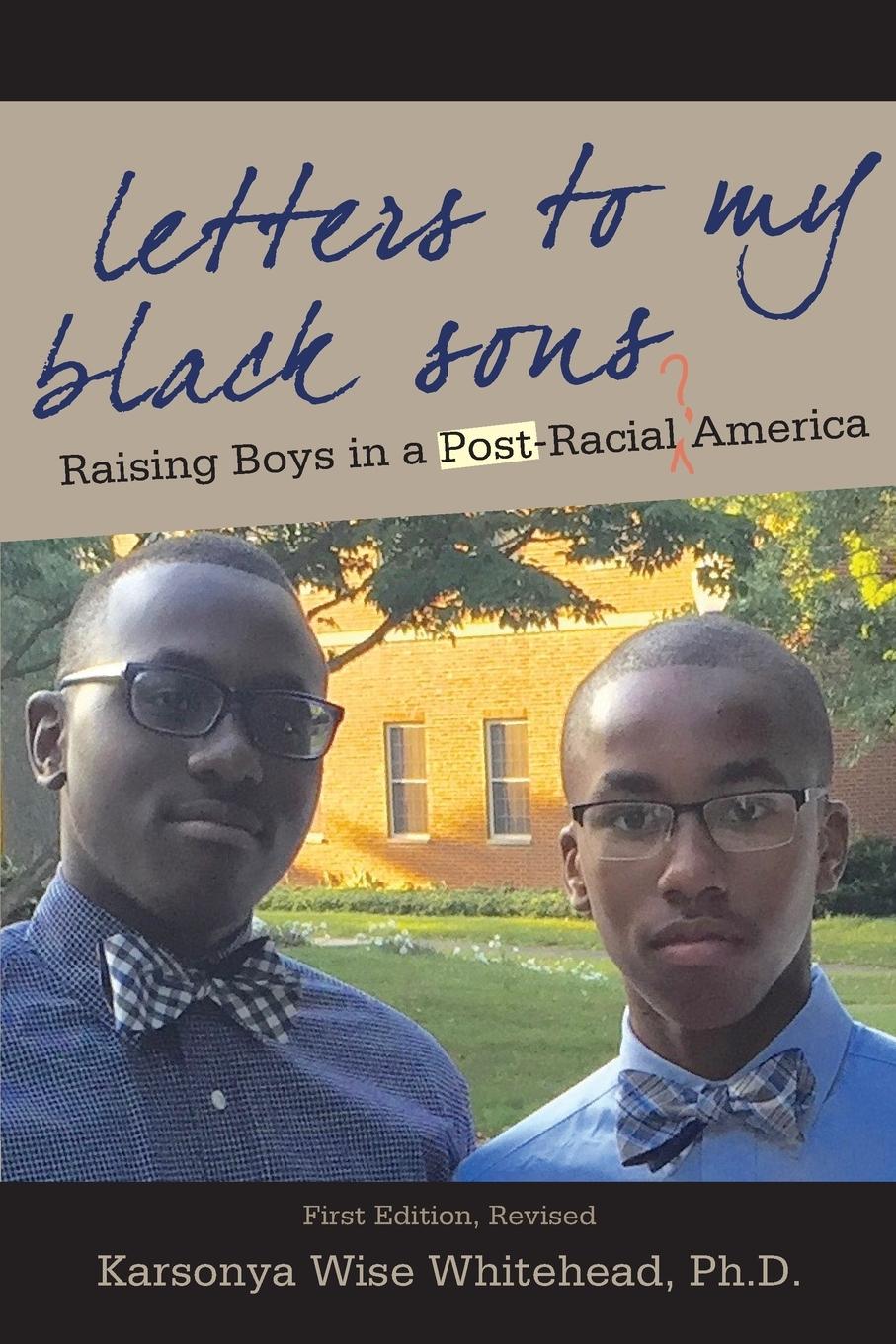 Vorderes Coverbild Letters to My Black Sons