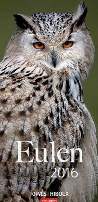 Vorderes Coverbild Eulen 2016