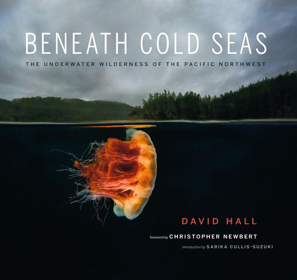 Vorderes Coverbild Beneath Cold Seas