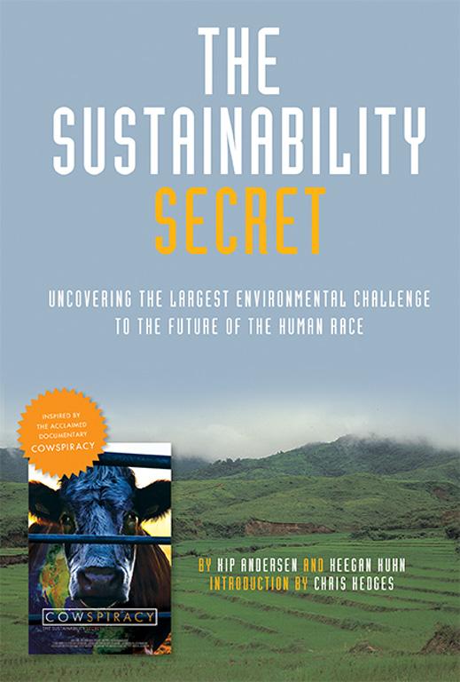 Vorderes Coverbild The Sustainability Secret