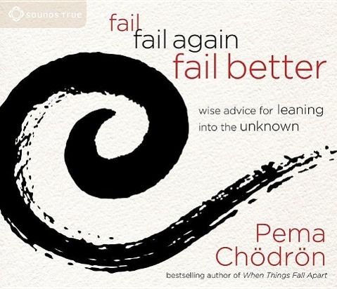 Vorderes Coverbild Fail, Fail Again, Fail Better: Wise Advice for Leaning Into the Unknown