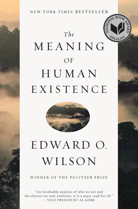 Vorderes Coverbild The Meaning of Human Existence