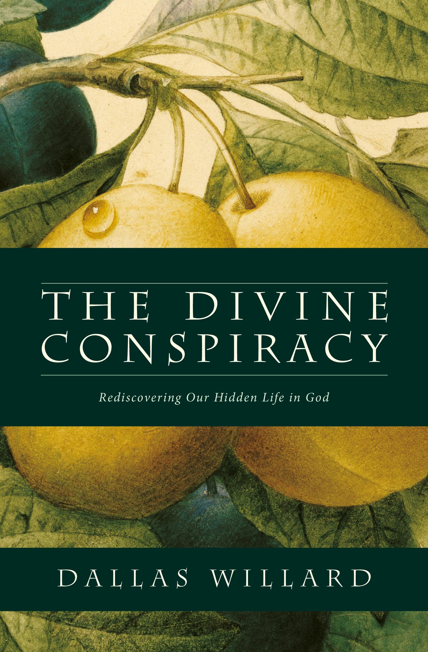 Vorderes Coverbild The Divine Conspiracy