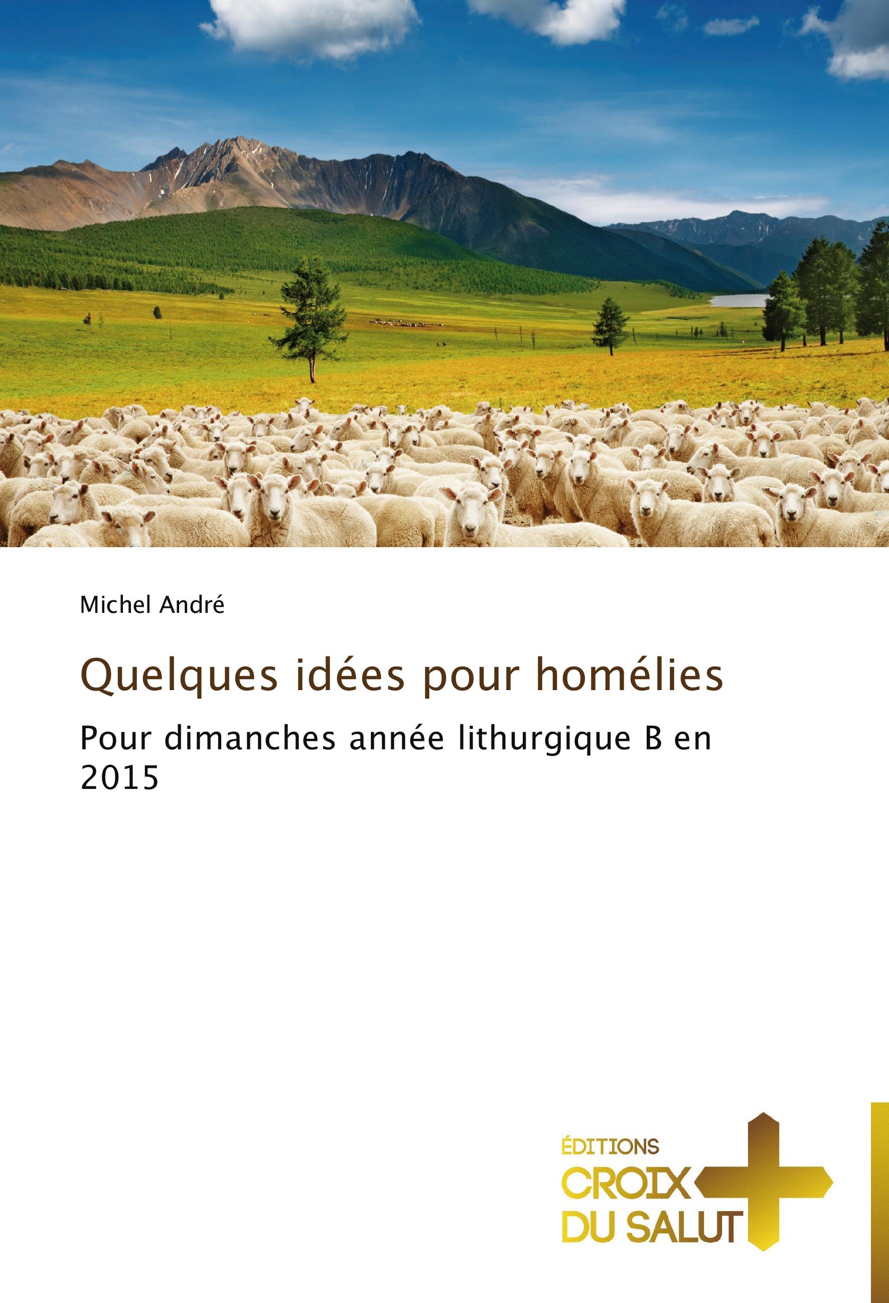 Vorderes Coverbild Quelques idées pour homélies
