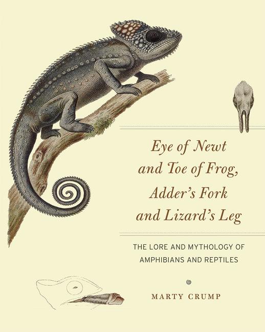 Vorderes Coverbild Eye of Newt and Toe of Frog, Adder's Fork and Lizard's Leg