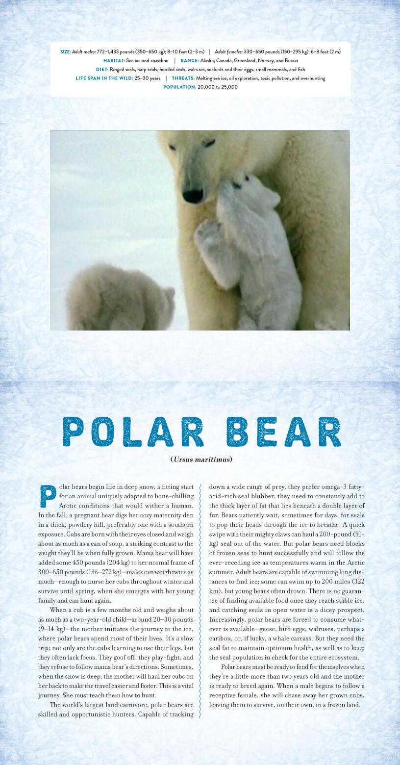 Beispielinhalt (Bild) Polar