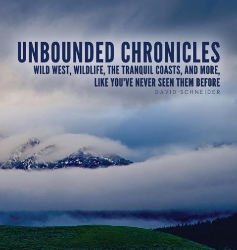 Vorderes Coverbild Unbounded Chronicles (Hardcover)