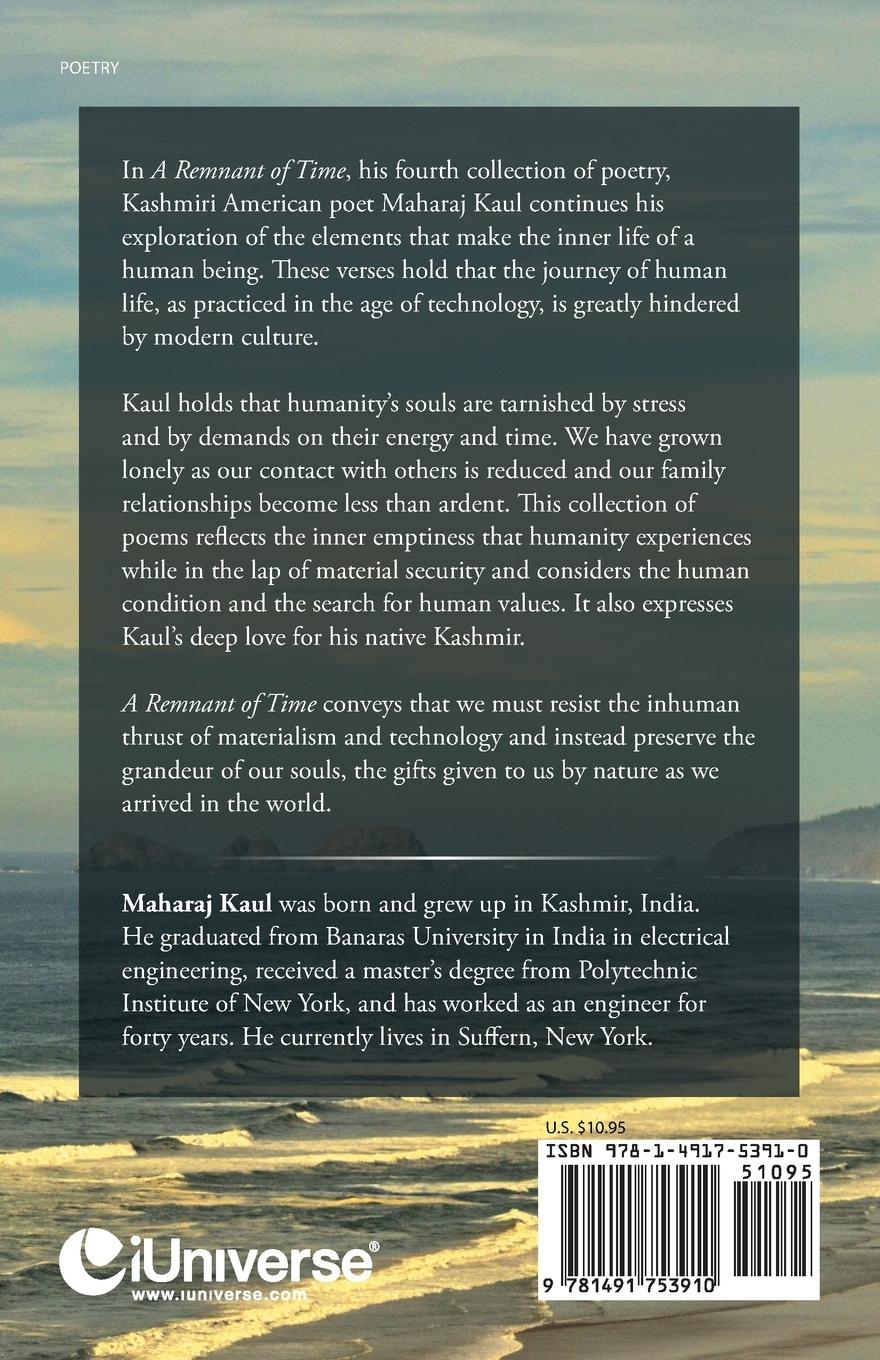 Rückseitencover A Remnant of Time