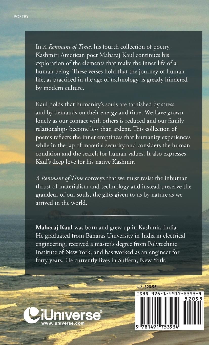 Rückseitencover A Remnant of Time