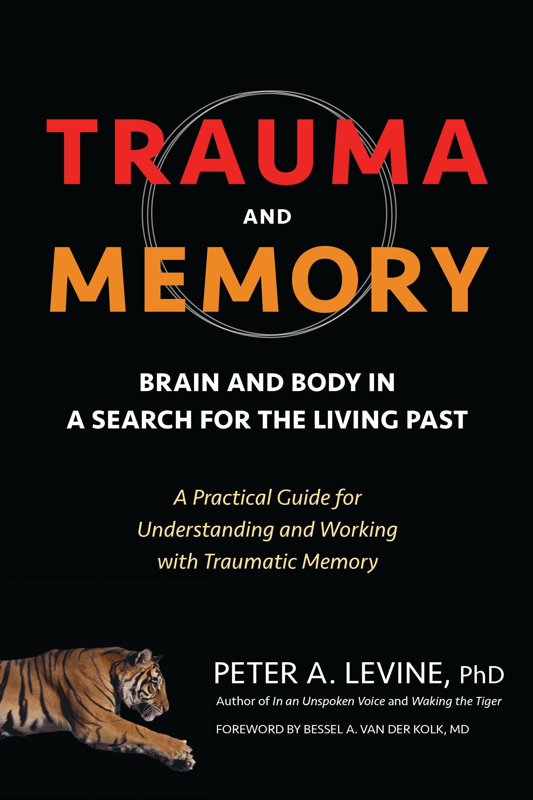 Vorderes Coverbild Trauma and Memory