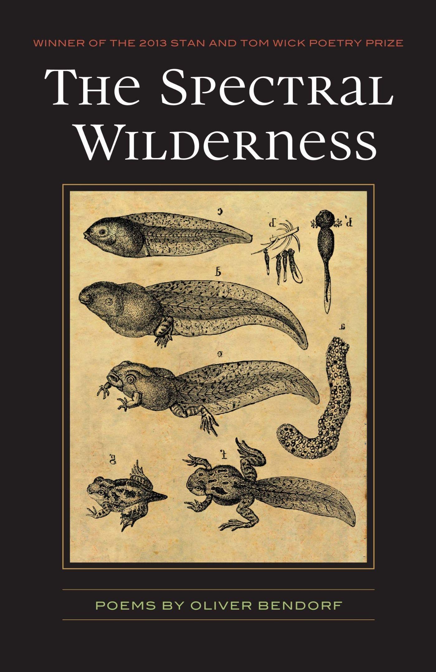 Vorderes Coverbild The Spectral Wilderness