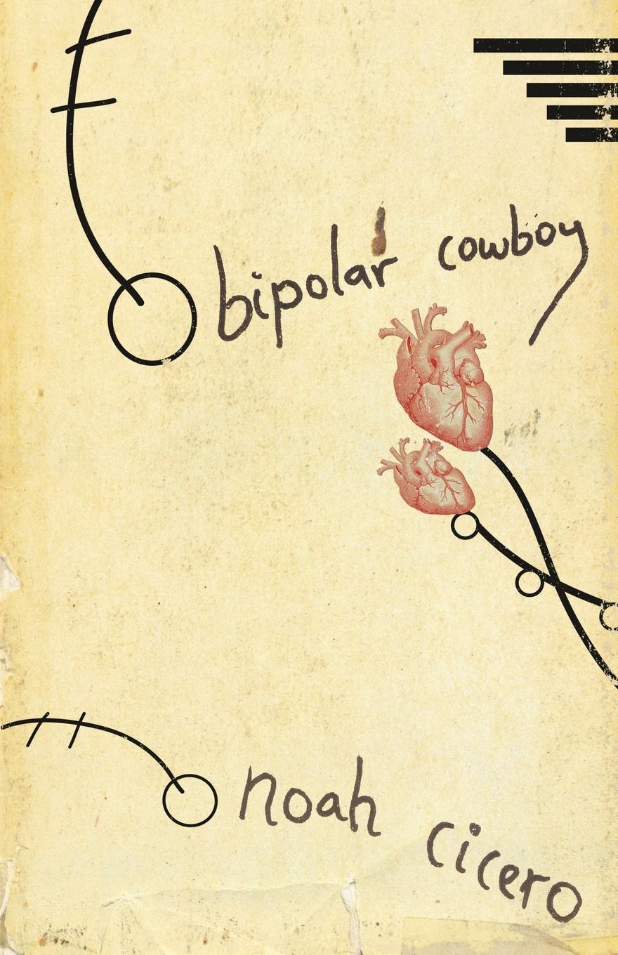 Vorderes Coverbild Bipolar Cowboy