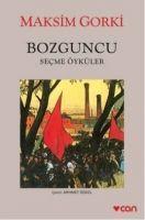 Vorderes Coverbild Bozguncu