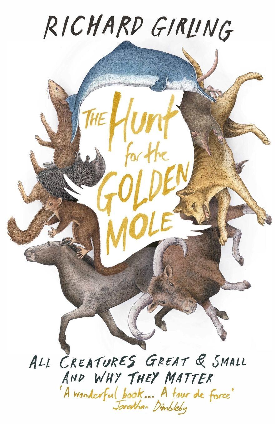 Vorderes Coverbild The Hunt for the Golden Mole