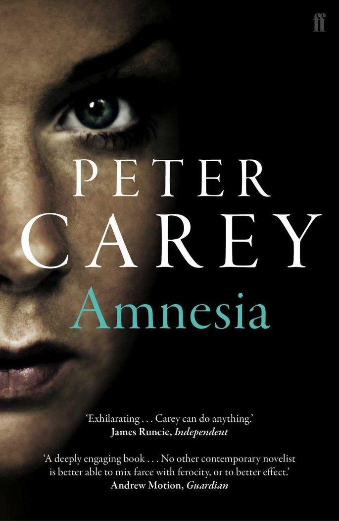 Vorderes Coverbild Amnesia