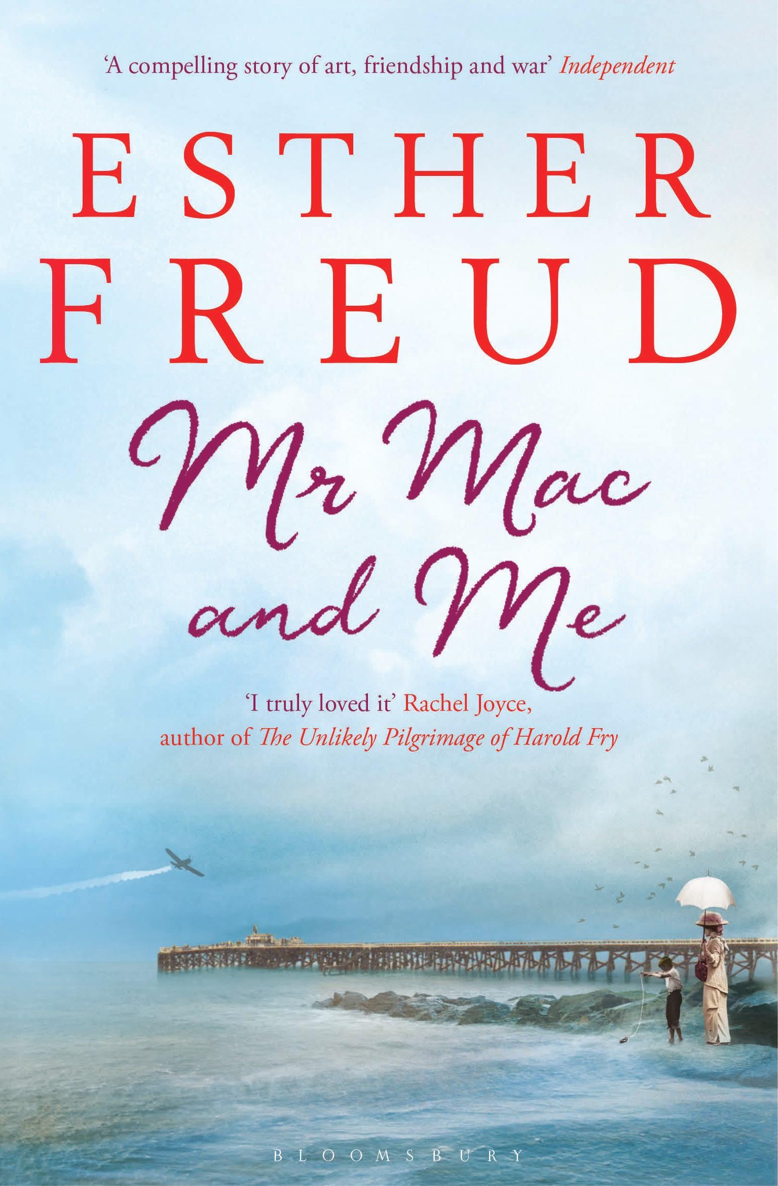 Vorderes Coverbild Mr Mac and Me