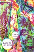 Vorderes Coverbild The Book of Numbers