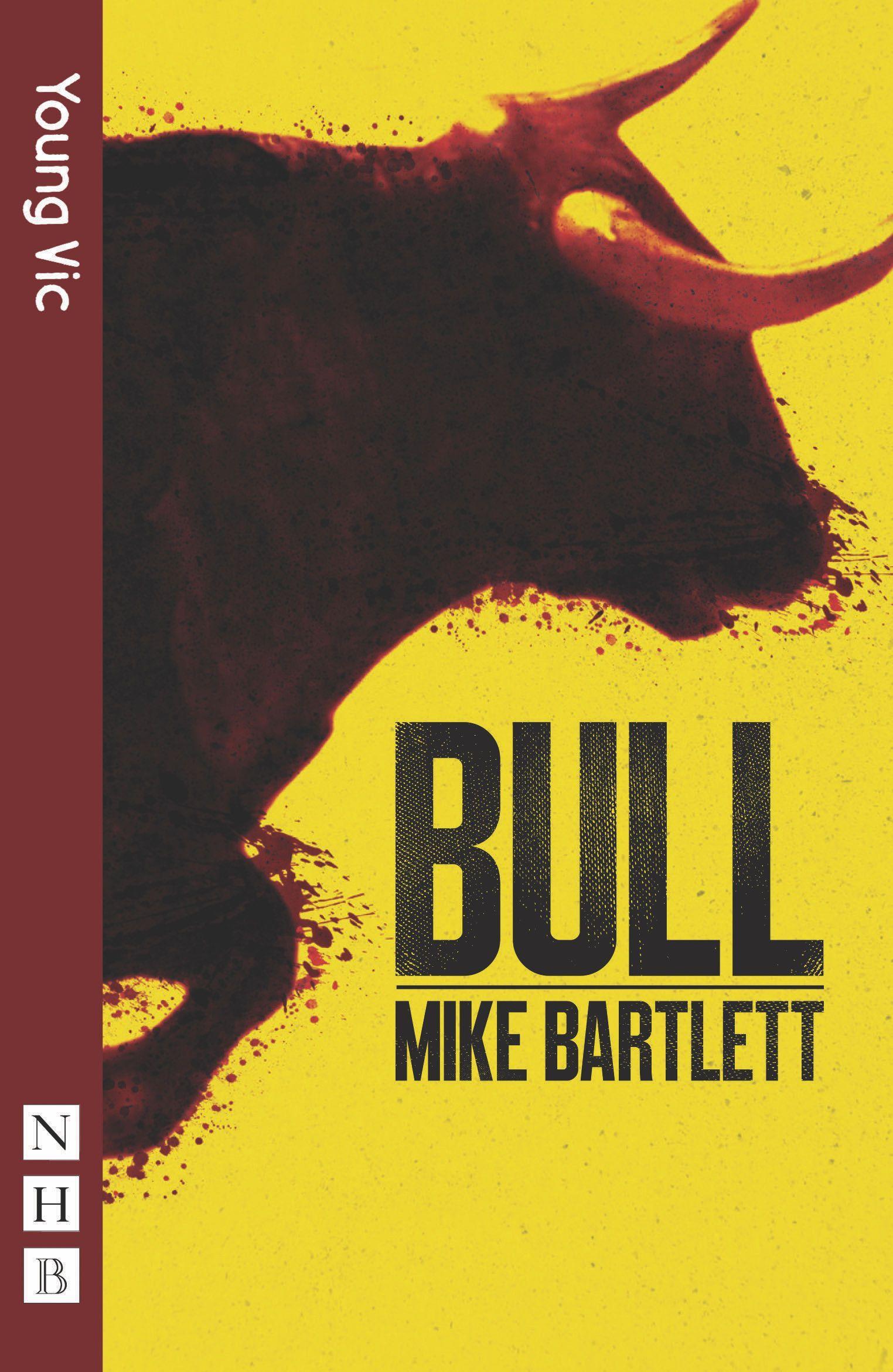 Vorderes Coverbild Bull