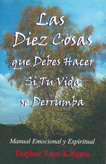 Vorderes Coverbild Las diez cosas que debes hacer si tu vida se derrumba.