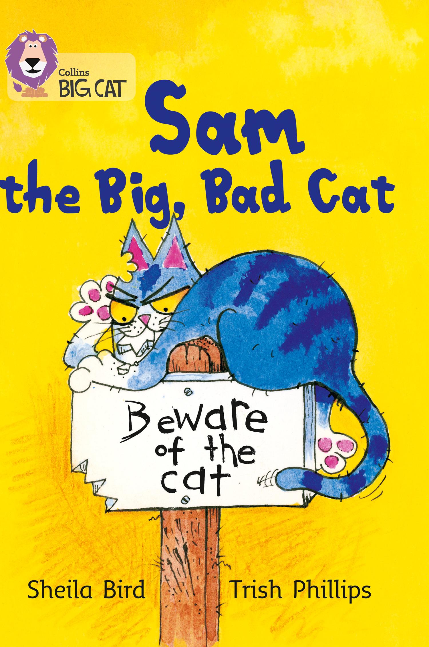 Vorderes Coverbild Sam and the Big Bad Cat