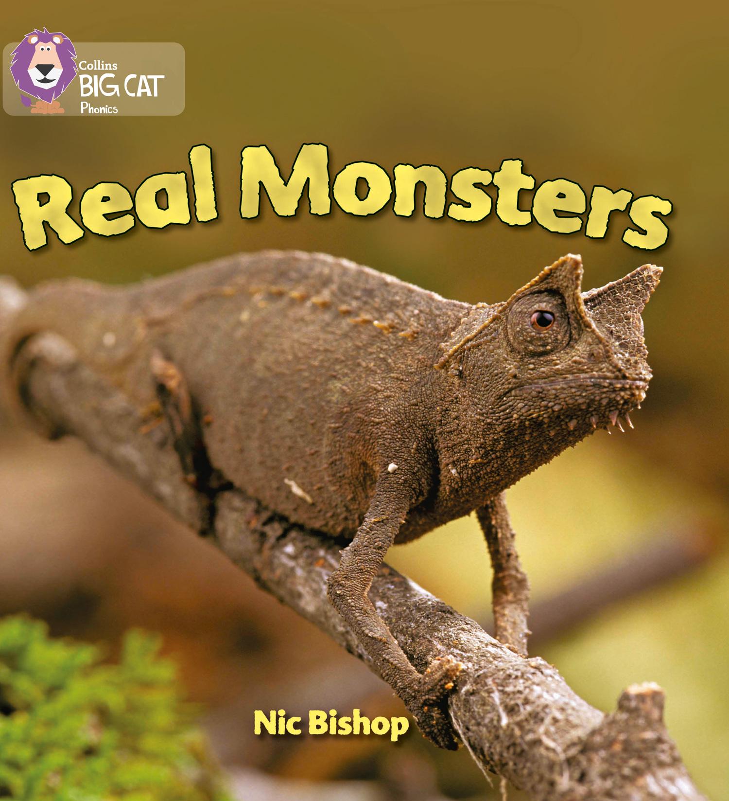 Vorderes Coverbild Real Monsters